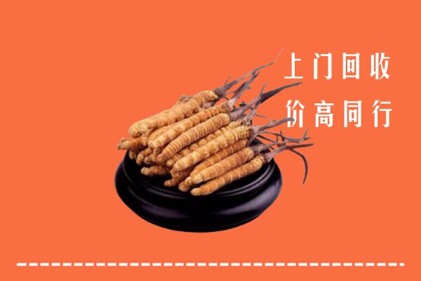 高价求购：黄南回收散虫草