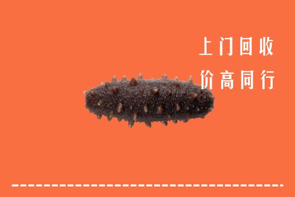 高价求购：黄南回收海参